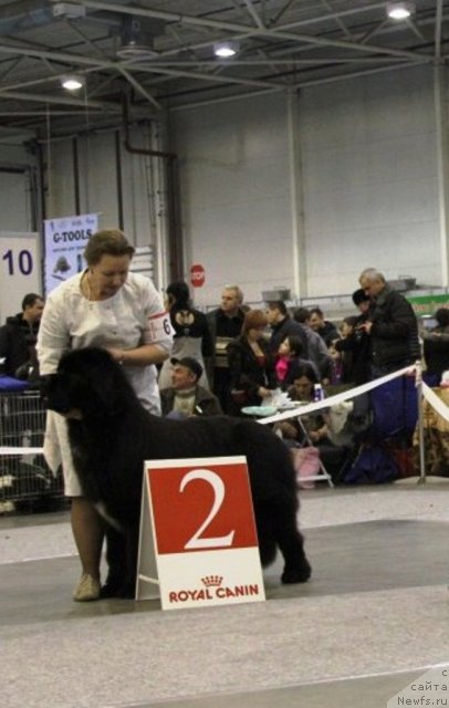 Фотография № 112691