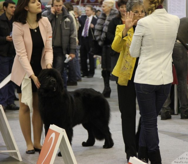 Фотография № 112694