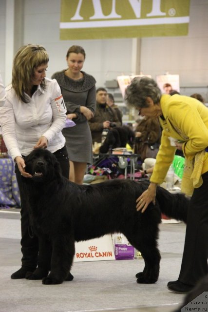 Фотография № 112695