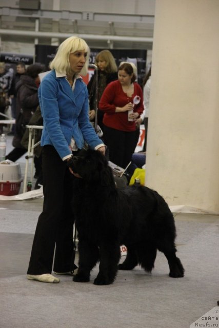 Фотография № 112696