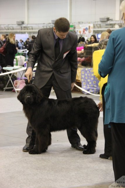 Фотография № 112698