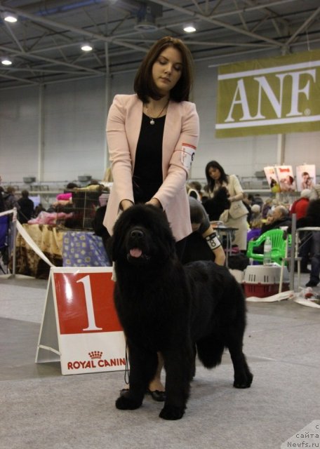 Фотография № 112699