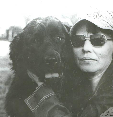 Фото: ньюфаундленд Гер Ама