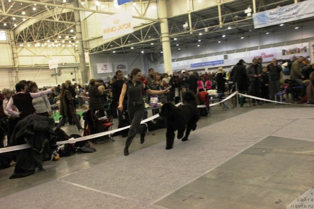 Фотография № 112701