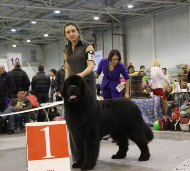 Фотография № 112705