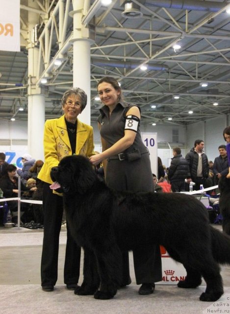 Фотография № 112706