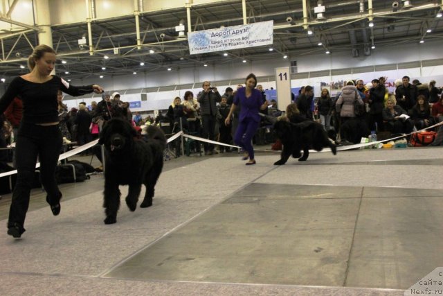 Фотография № 112707