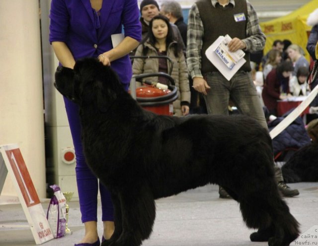 Фотография № 112709