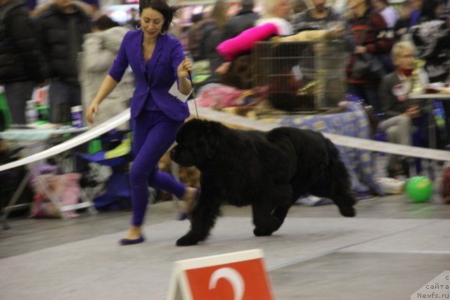 Фотография № 112710