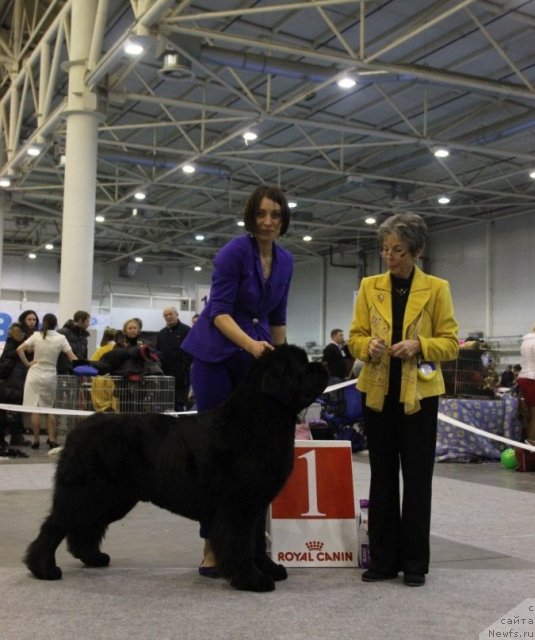 Фотография № 112712