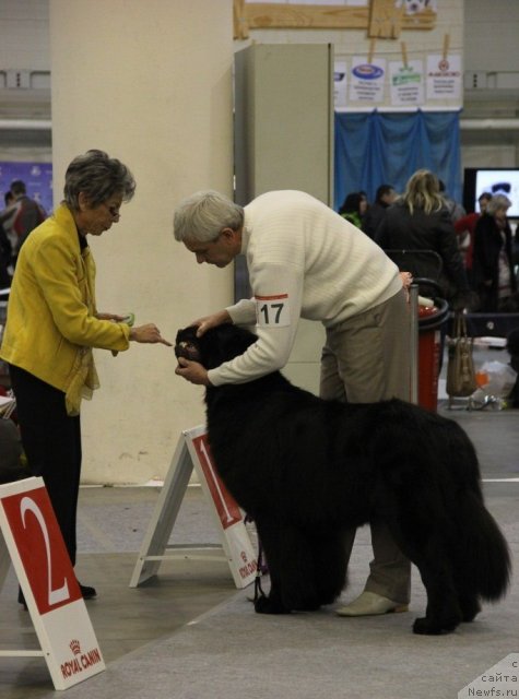 Фотография № 112714