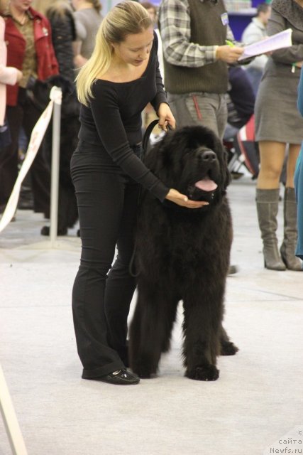 Фотография № 112717