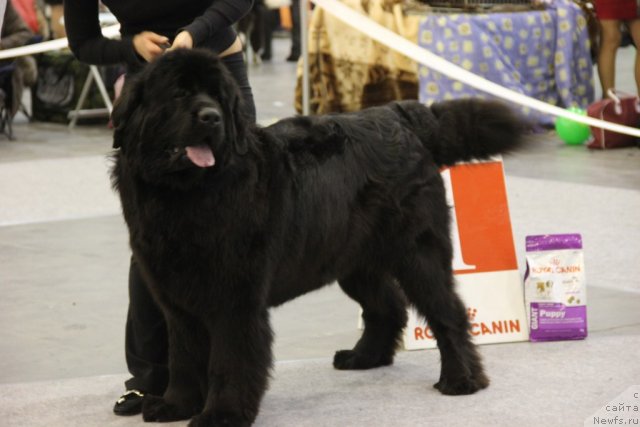 Фотография № 112718