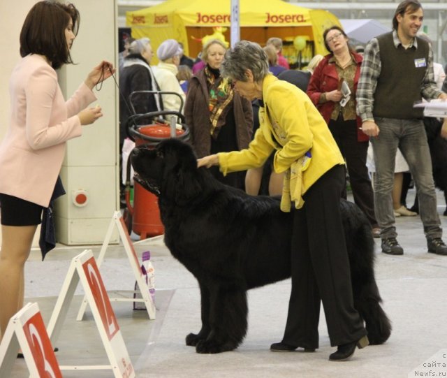 Фотография № 112720