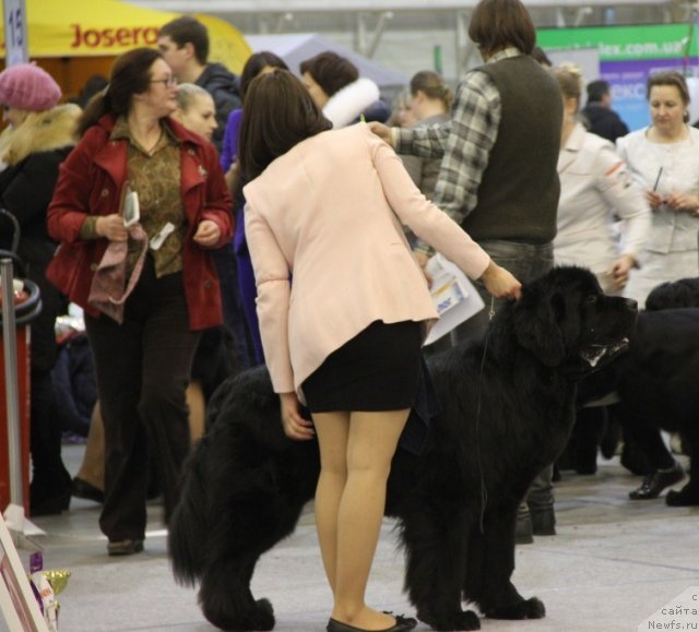 Фотография № 112722