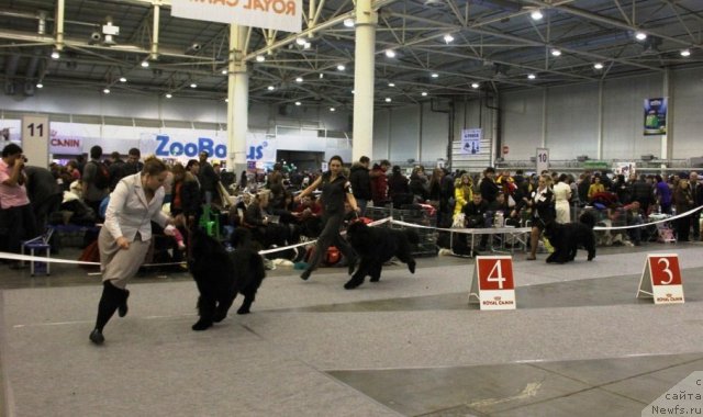 Фотография № 112725