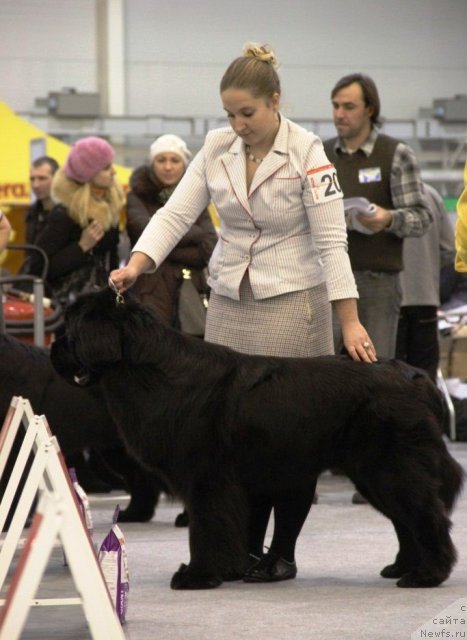 Фотография № 112727