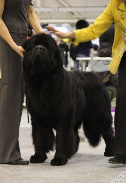 Фотография № 112729