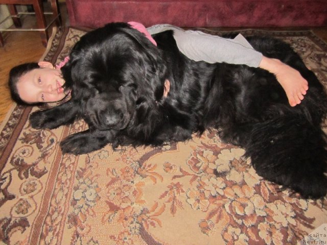 Фотография № 112730