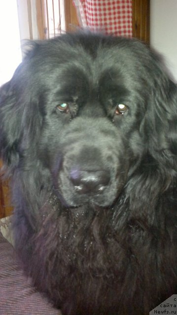 Фотография № 112731