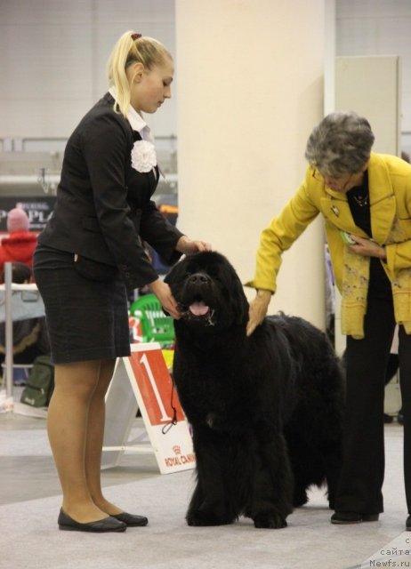 Фотография № 112732