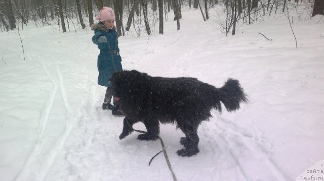 Фотография № 112733