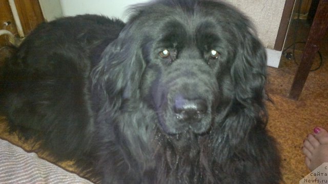 Фотография № 112734