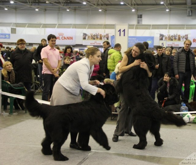 Фотография № 112735