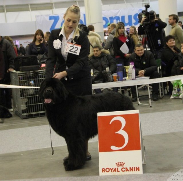 Фотография № 112736