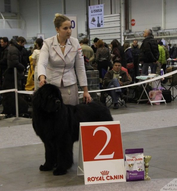 Фотография № 112737