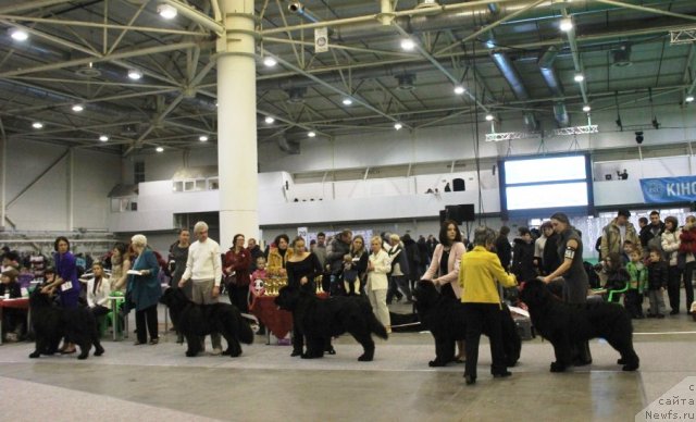 Фотография № 112739