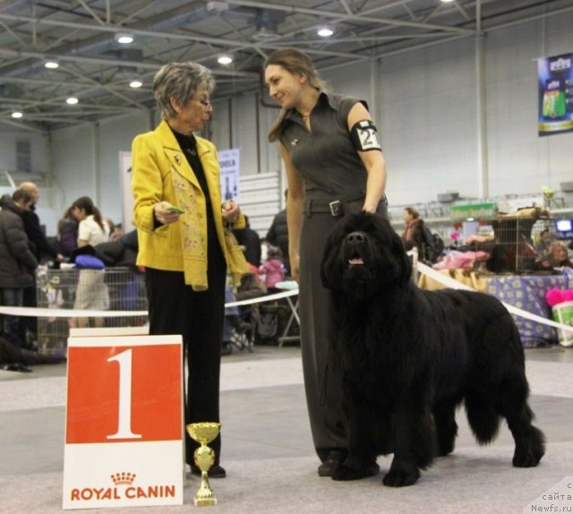 Фотография № 112740