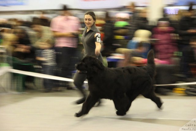 Фотография № 112741