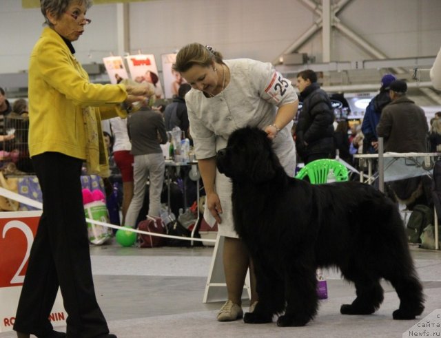 Фотография № 112744