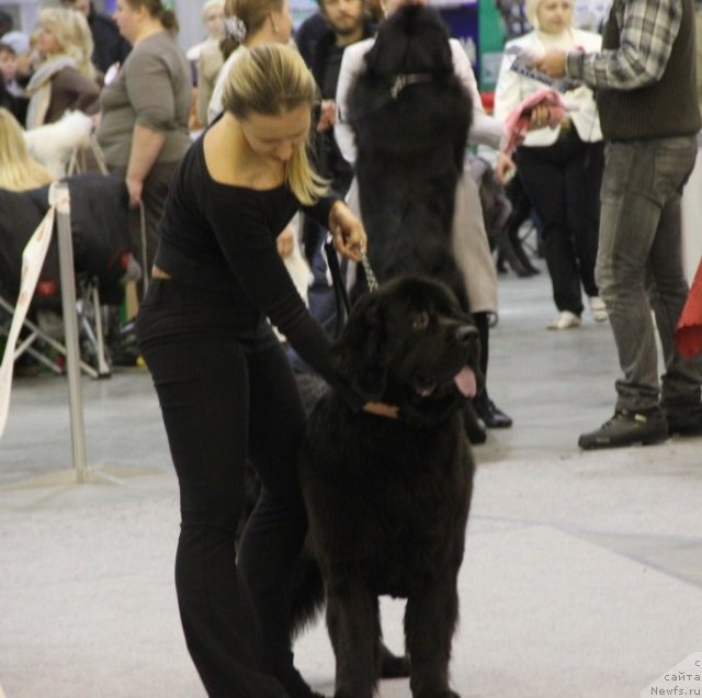 Фотография № 112746