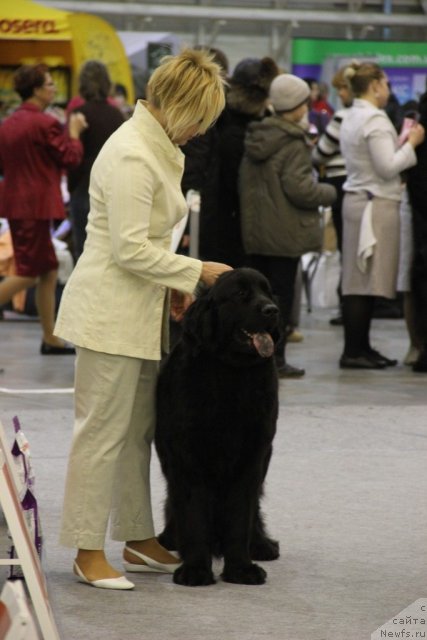 Фотография № 112747