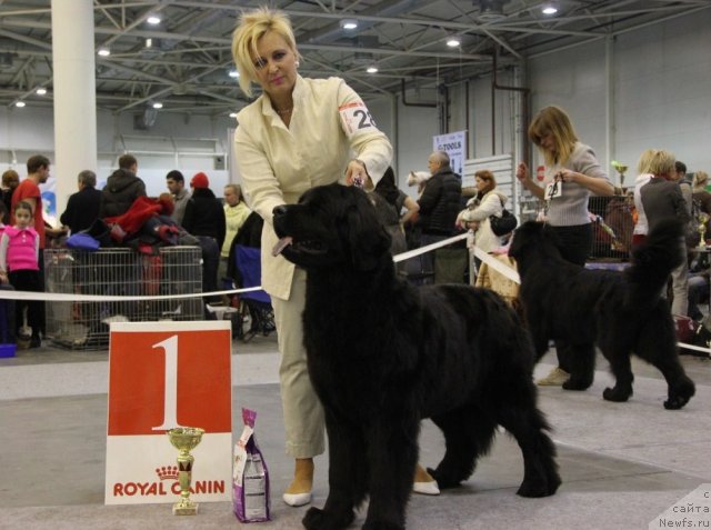 Фотография № 112748