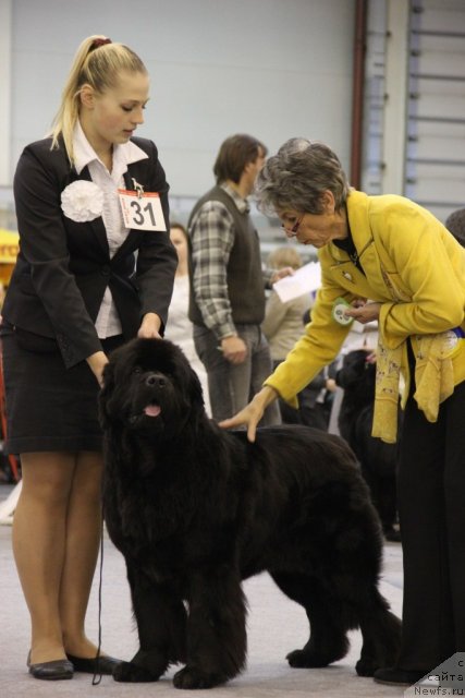 Фотография № 112752