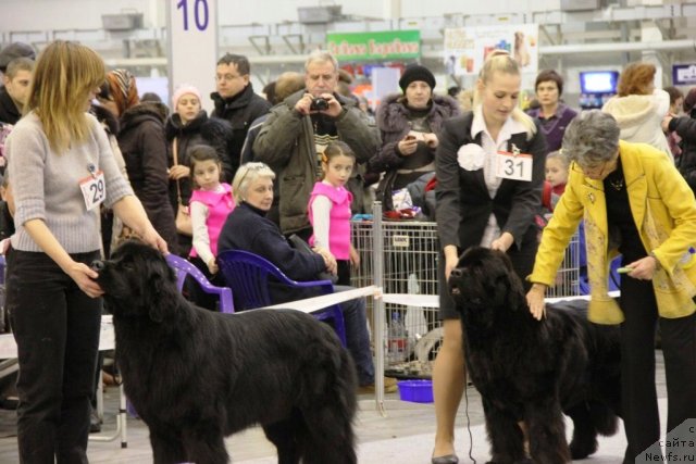 Фотография № 112756