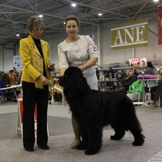 Фотография № 112760