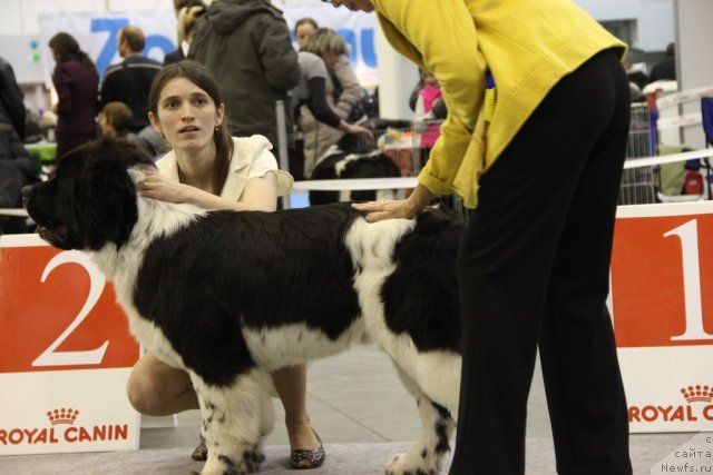 Фотография № 112786