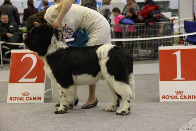 Фотография № 112793