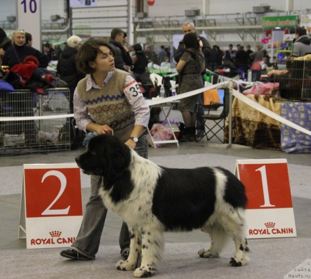 Фотография № 112814