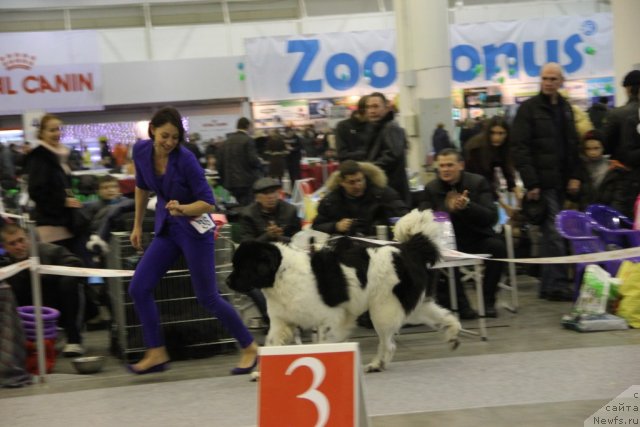 Фотография № 112815