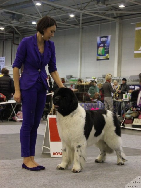 Фотография № 112816