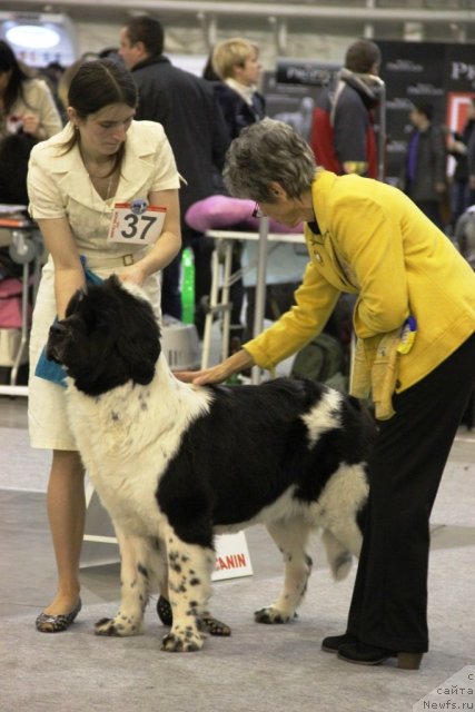 Фотография № 112817