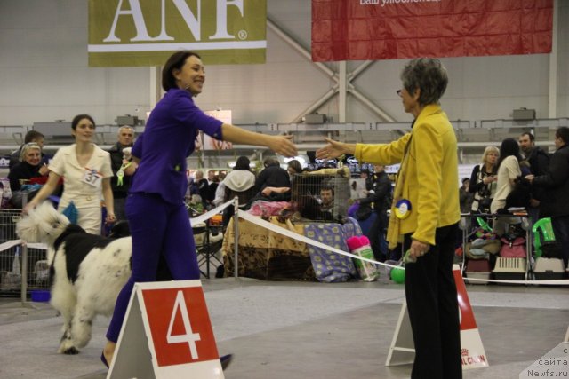 Фотография № 112819