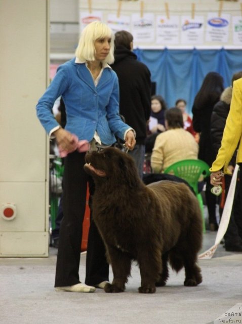 Фотография № 112820