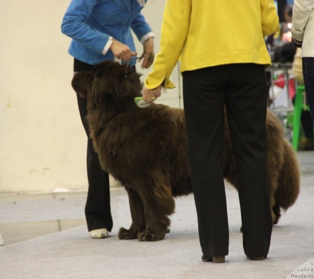 Фотография № 112821