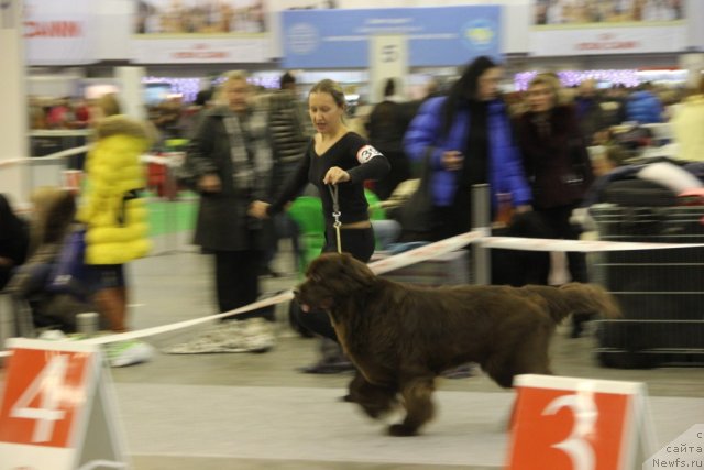 Фотография № 112822